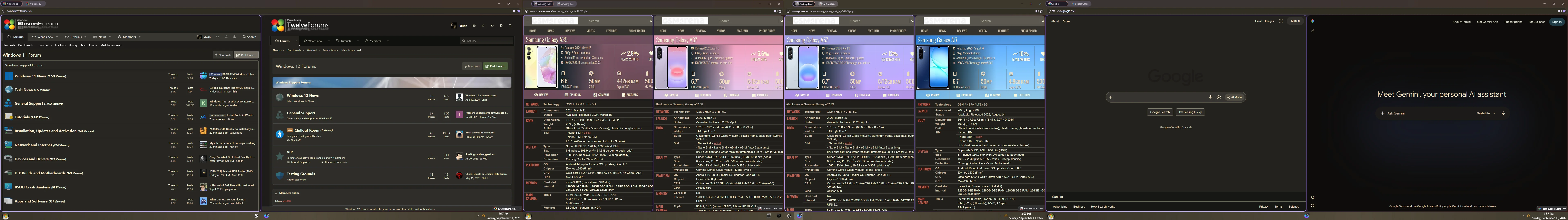 13982.webp