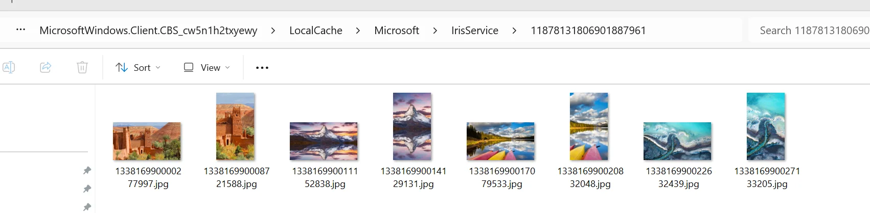 1737238746172.webp