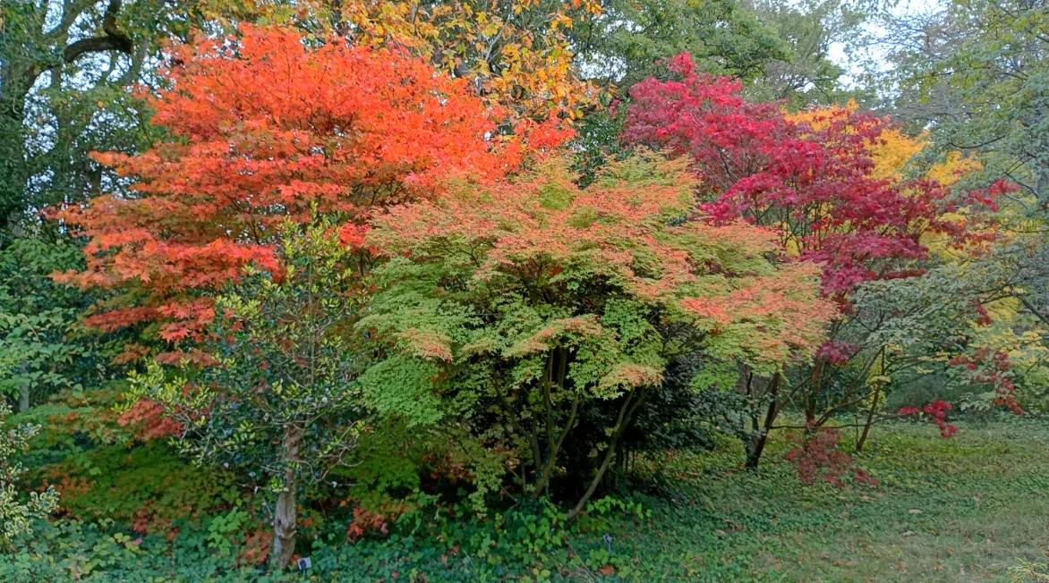1792081076505.webp