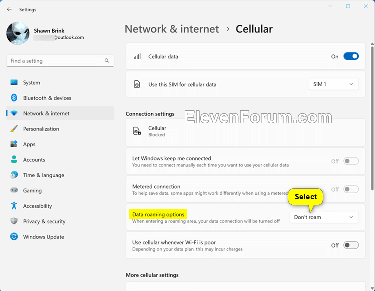 Cellular_data_roaming-2.png