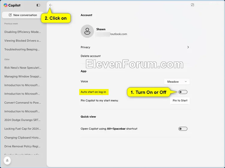 Copilot_auto_start.webp