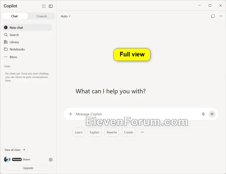 Copilot_full_view.webp