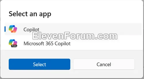 Copilot_key-3.webp