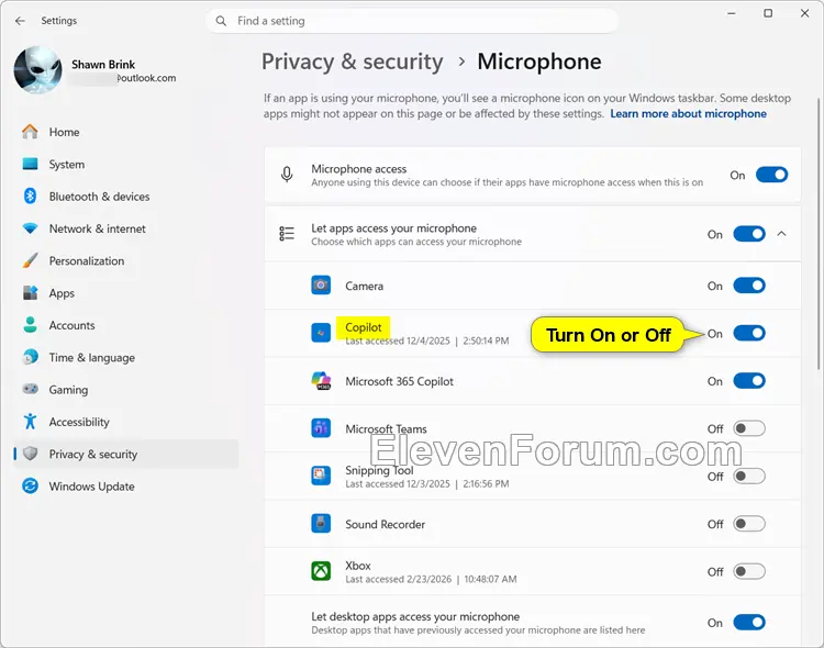 Copilot_microphone_access_Settings.webp