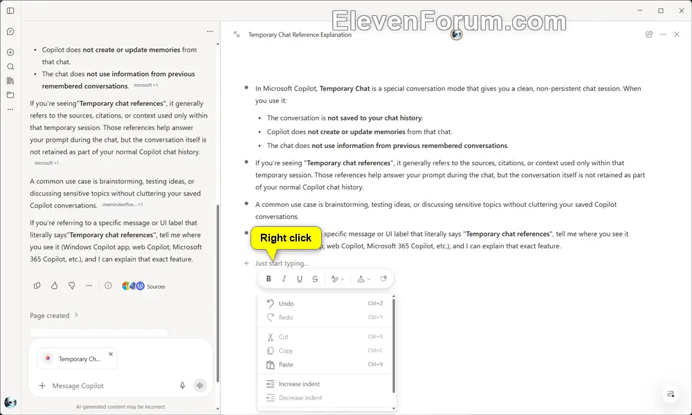 Copilot_Pages-5.webp