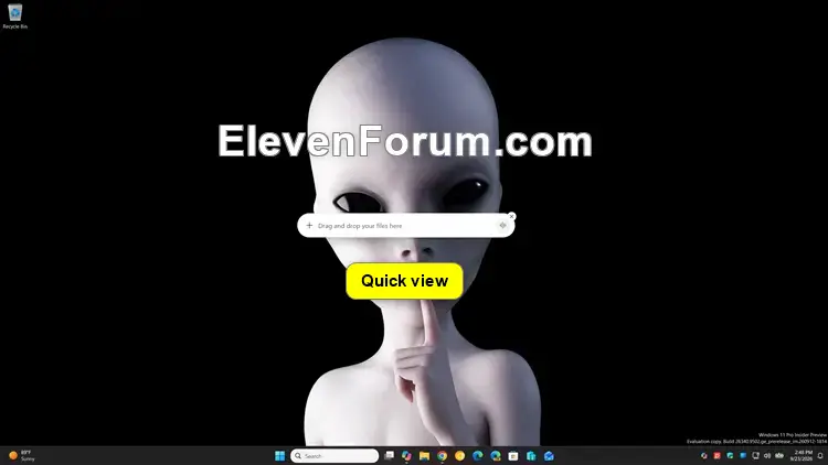 Copilot_quick_view.webp