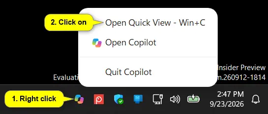 Copilot_quick_view_taskbar_notification_icon.webp