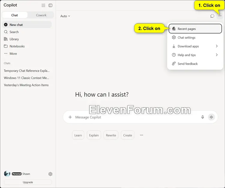 Copilot_recent_pages-1.webp
