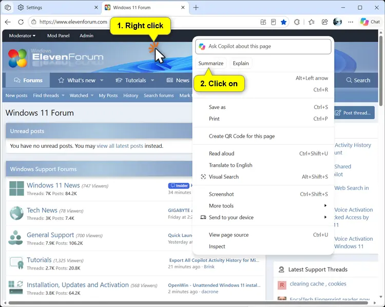 Copilot_summarize_page_in_Edge.webp