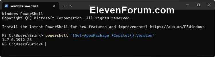 Copilot_version_command.webp