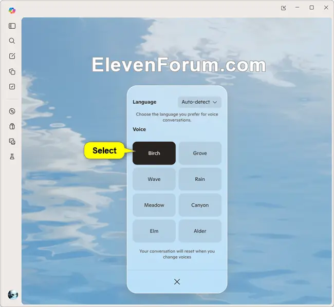 Copilot_Voice_settings-2.webp