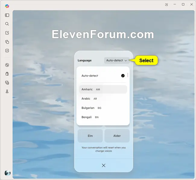Copilot_Voice_settings-2.webp