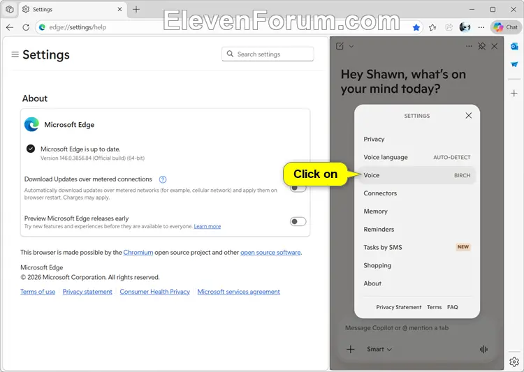Edge_Copilot_voice-3.webp