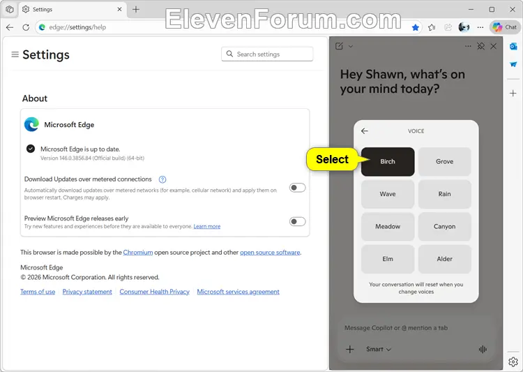 Edge_Copilot_voice-4.webp