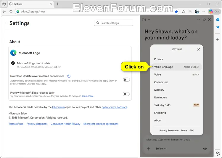 Edge_Copilot_voice_language-3.webp