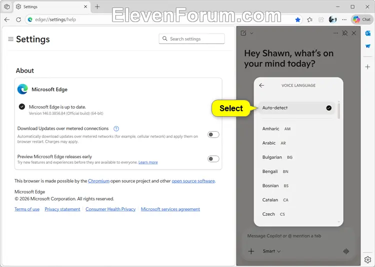 Edge_Copilot_voice_language-4.webp