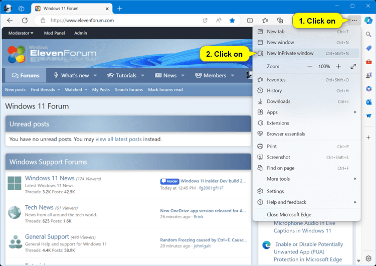 Edge_InPrivate_Browing_Settings_menu.png