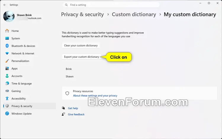 export_custom_dictionary-3.webp