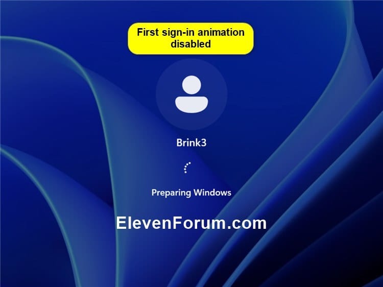 first_sign-in_animation_disabled.jpg