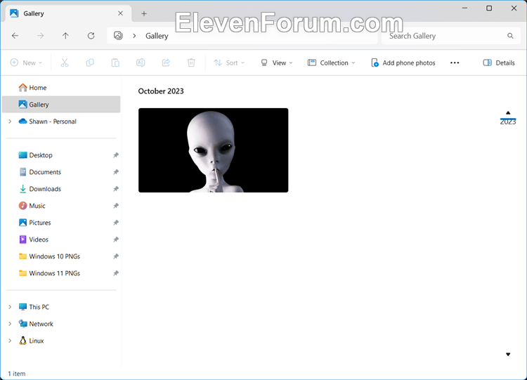 Gallery_on_File_Explorer_navigation_pane.png