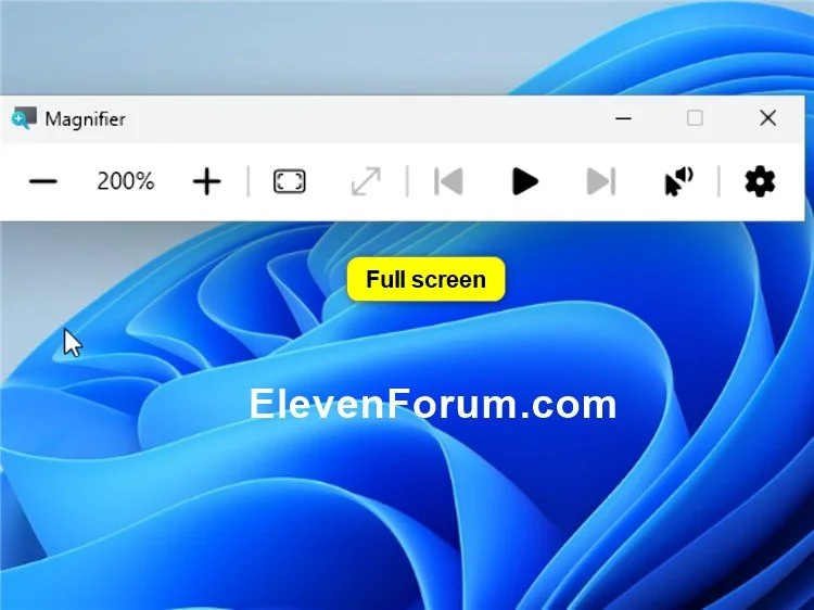 Magnifier_full_screen_view.webp