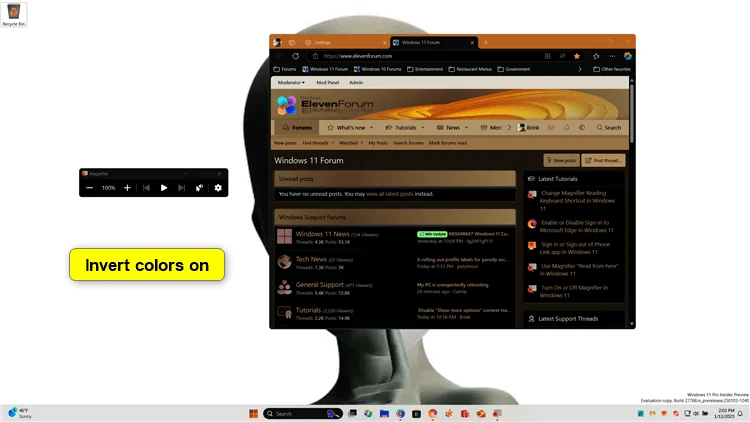Magnifier_invert_colors-on.webp