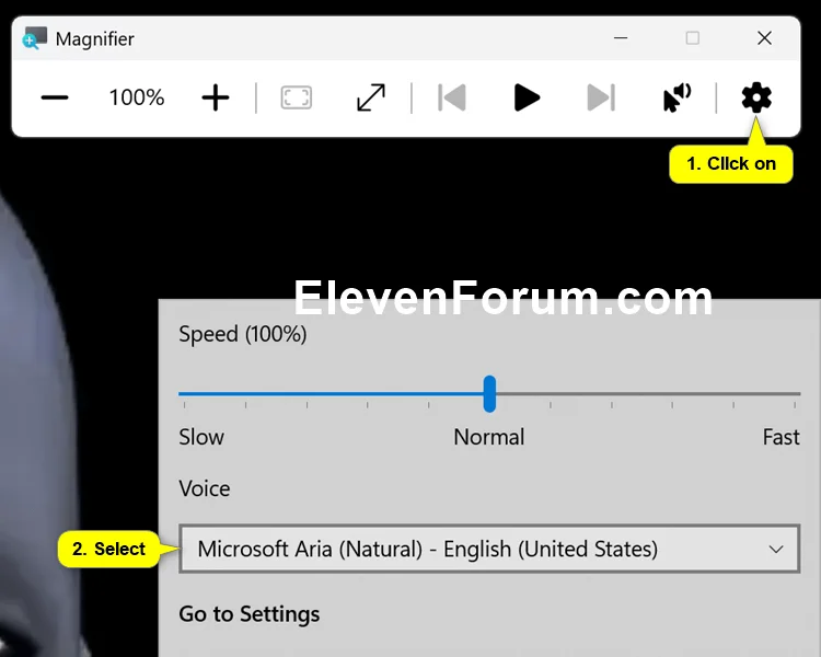 Magnifier_voice.webp