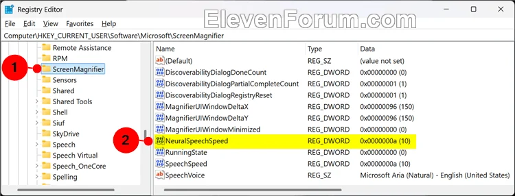 Magnifier_voice_speed_regedit-1.webp