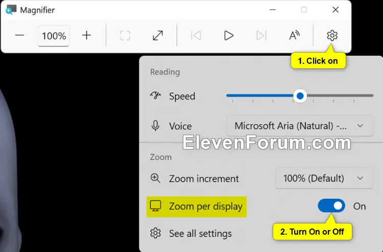 Magnifier_zoom_per_display.webp