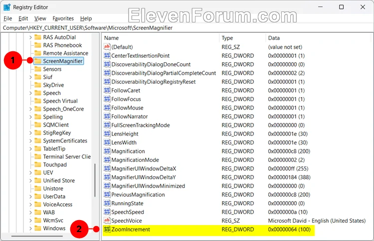 Magnifier_zoom_regedit-1.webp