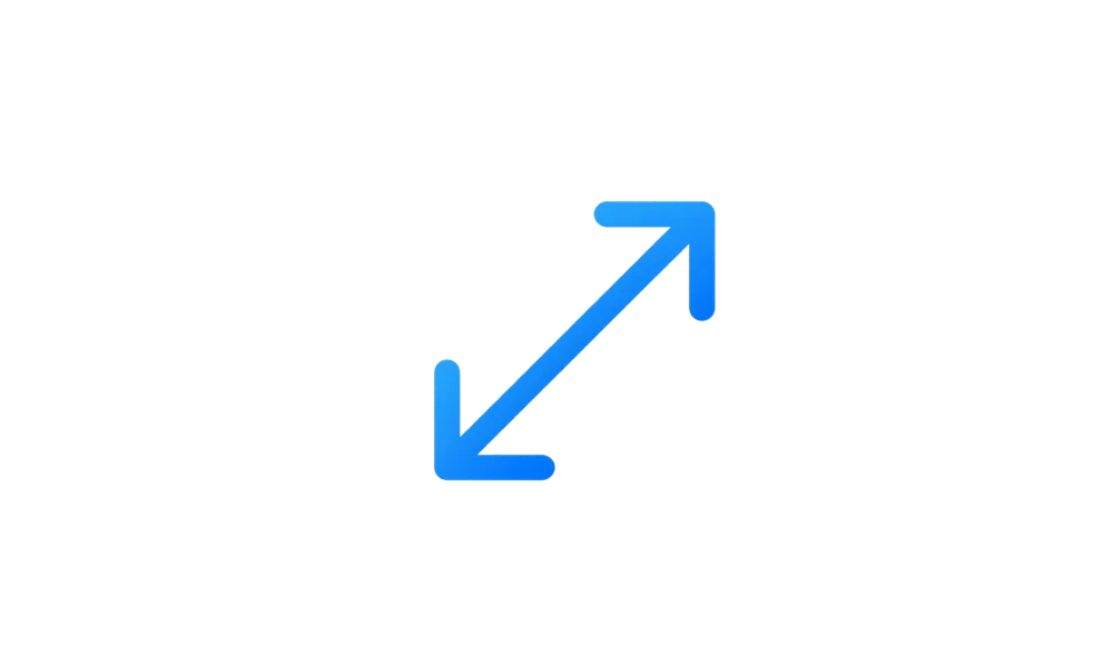 Maximize_header.webp