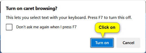 Microsoft_Edge_caret_browsing_F7-on.png