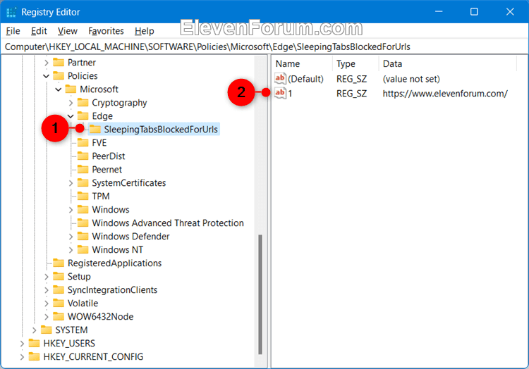 Microsoft_Edge_sleep_tab_excluded_sites_regedit-1.png