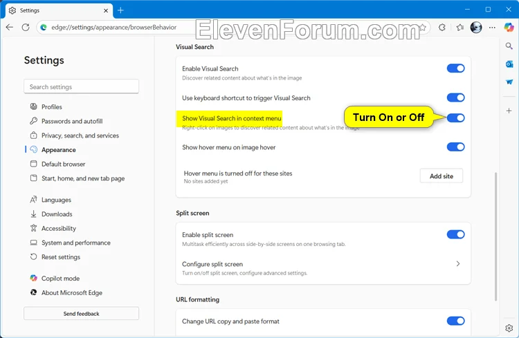 Microsoft_Edge_Visual_Search-2.webp