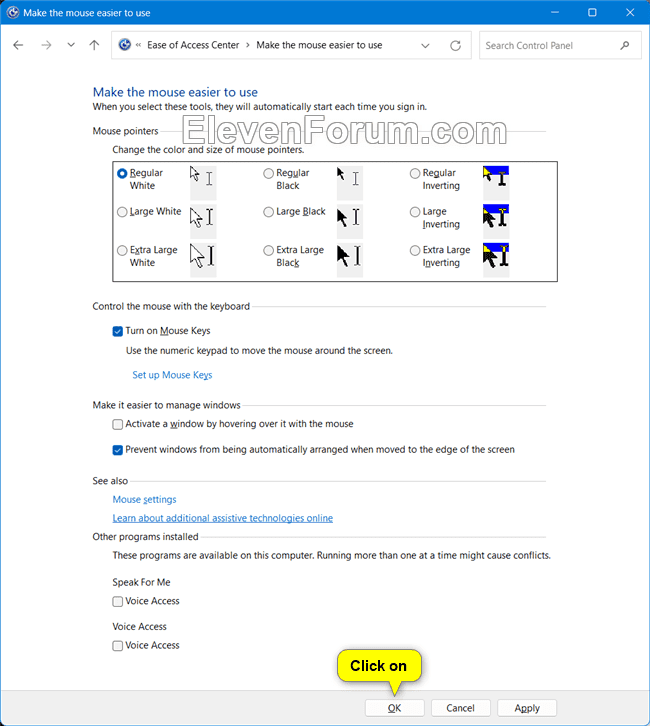 Mouse_Keys_Control_Panel-4.png