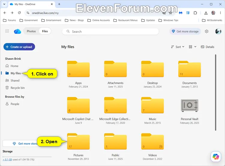 OneDrive_album-1.webp
