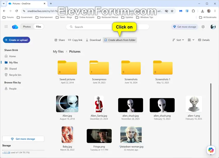 OneDrive_album-2.webp