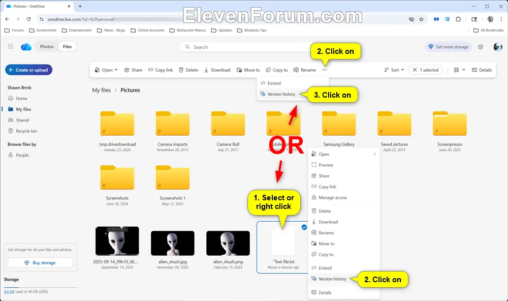 OneDrive_online_version_history-1.webp