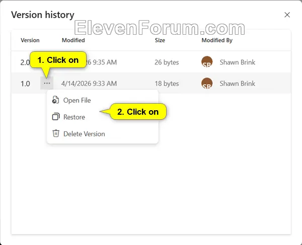 OneDrive_online_version_history-2.webp