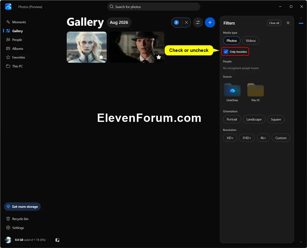 OneDrive_Photos_filter_Gallery-3.webp