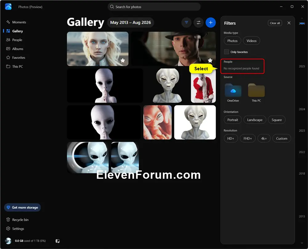 OneDrive_Photos_filter_Gallery-3b.webp