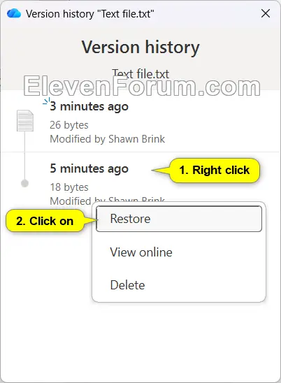 OneDrive_version_history-2.webp