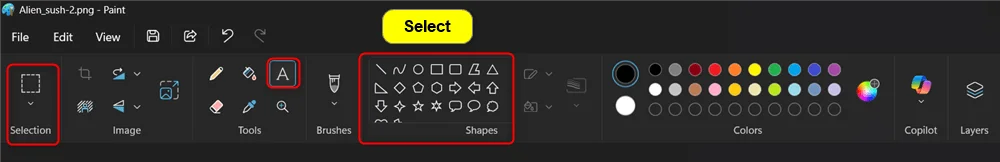 Paint_Select.webp