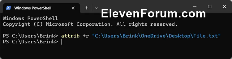 Read-only_attributes_file_command-1.webp