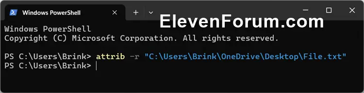 Read-only_attributes_file_command-2.webp