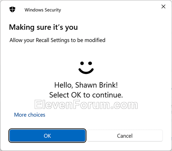 Recall_Windows_Security.png