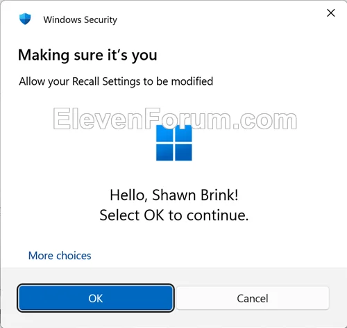 Recall_Windows_Security.webp