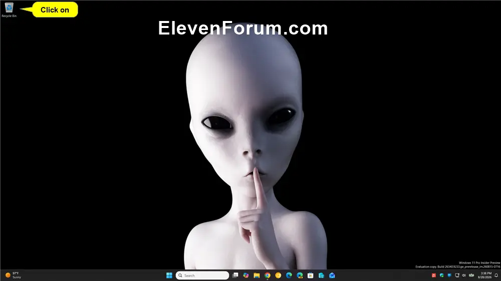 Recycle_Bin_desktop.webp