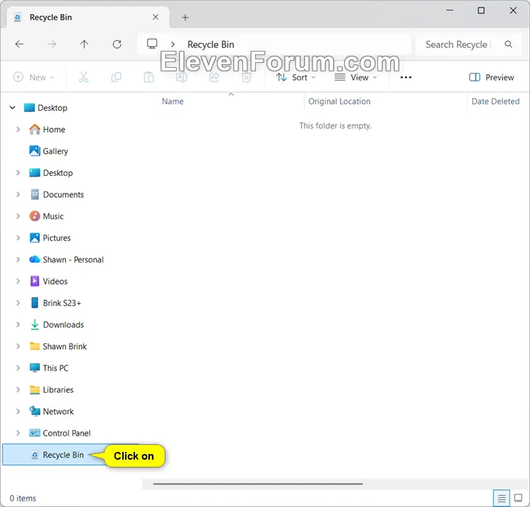 Recycle_Bin_File_Explorer.webp