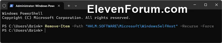 Reset_Windows_Insider_Program_settings_PowerShell.webp